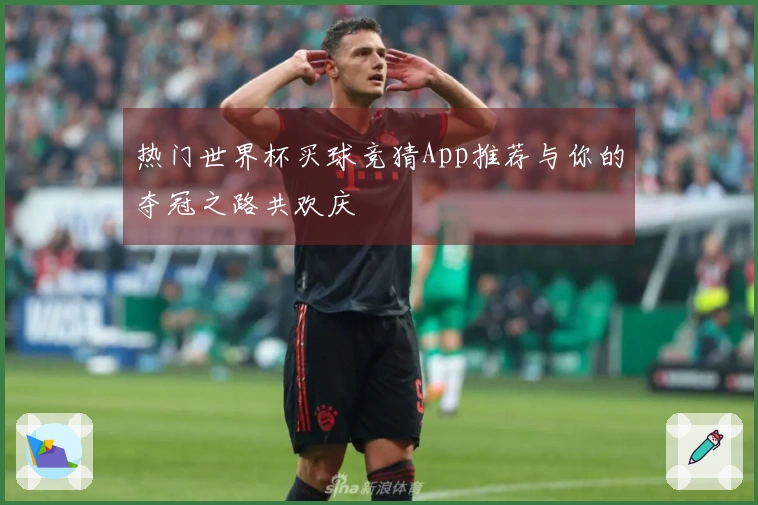 热门世界杯买球竞猜App推荐与你的夺冠之路共欢庆