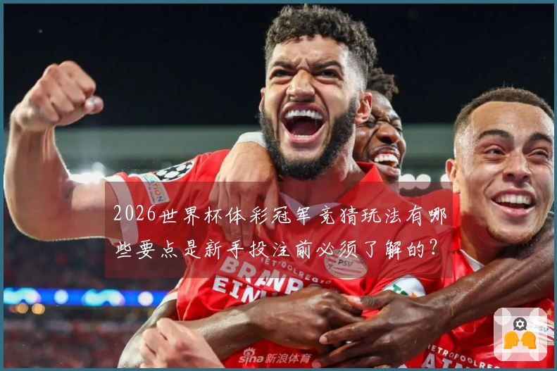 2026世界杯体彩冠军竞猜玩法有哪些要点是新手投注前必须了解的？