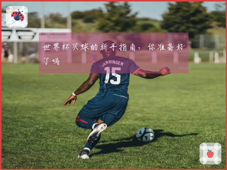 世界杯买球的新手指南，你准备好了吗