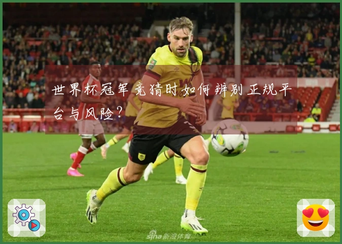 世界杯冠军竞猜时如何辨别正规平台与风险？