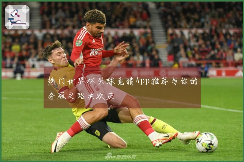 热门世界杯买球竞猜App推荐与你的夺冠之路共欢庆